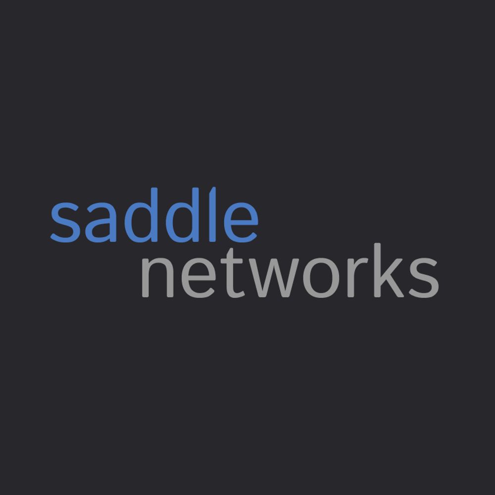 Saddle Network